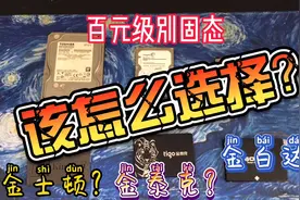 百元120g固态怎么选？金士顿金泰克金百达“三兄弟”实测告诉你！视频封面