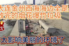 大连西海海边全是放完的烟花爆竹，太影响美丽的海边景色了视频封面