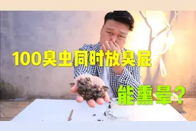 测试100个臭大姐，同时放出臭气，臭味有多大？能把自己熏晕吗？