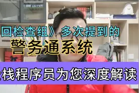 《巡回检查组》中警务通系统！到底是什么？全栈程序员为您解答！