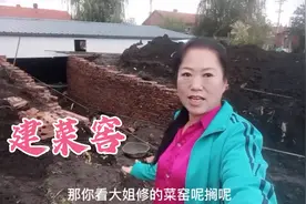 东北最会种菜的大姐，在自家地里建菜窖，把种的秋白菜全部存起来
