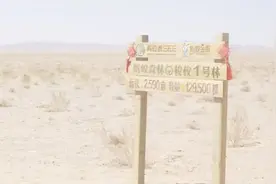 支付宝蚂蚁森林能量种树，不到3年种下1亿棵树，有你种的树吗？视频封面