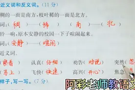 小学语文二年级词语复习，近义词和反义词训练，掌握有多少视频封面