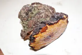 一根毫不起眼的木头，老外是如何用车床，制作成一个带盖盒子视频封面