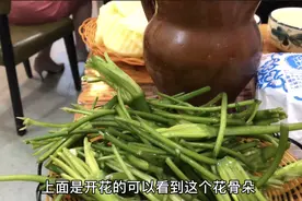云南丽江，拉市海湿地公园，美女超多，晚餐点了一份很尴尬的菜视频封面