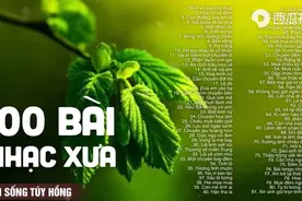 越南歌曲100首 Nhạc Vàng Xưa Hải Ngoại Quá Say Mê