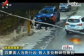 陕西西咸新区：四蒙面人当街行凶 致人多处粉碎性骨折视频封面