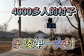 山东省乐陵的第一大村，素有金米盾牌之称，黄夹镇张牌村视频封面