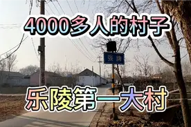 山东省乐陵的第一大村，素有金米盾牌之称，黄夹镇张牌村视频封面