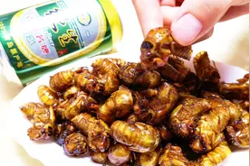 油炸金蝉，直接下锅炸就错了，多加一步，金黄酥脆又入味，太香了视频封面