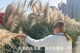 逛西安雁塔区的雁南公园，大草坪可以在上面玩耍，各种花草多多视频封面