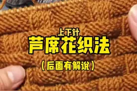 #芦席花织法 又是个简单的上下针花样，非常好学，织围巾背心都好看哦！🌹#爱生活爱编织视频封面