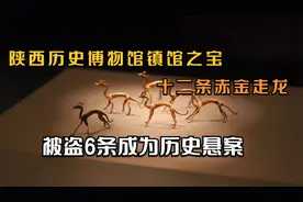 陕西西安挖出国家一级文物，12条神秘金龙，被盗6条成为历史悬案视频封面