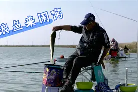 没钓多久，成群的推浪鱼就过来闹窝和乌头抢食吃了！视频封面