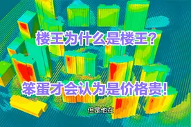 笨蛋才会认为：价格贵就是楼王！真正的楼王，必须有这几个大优势视频封面