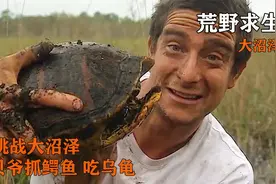 挑战荒野大沼泽，贝爷不仅欺负鳄鱼，还吃上了碳烤乌龟！视频封面