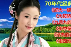 70年代歌曲《好大一棵树》《大花轿》《九月九的酒》《水中花》等视频封面