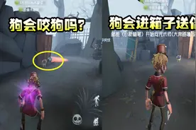 第五人格：关于邮差的趣味测试，狗会咬狗吗？狗会进箱子送信吗？视频封面