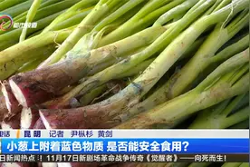 小葱上附着蓝色物质 是否能安全食用？视频封面