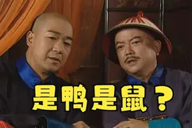 有齿是鼠 无齿是鸭视频封面