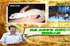 养生：壁虎临床运用可治大病，对“癌症”有大功效视频封面