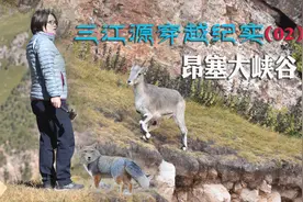 三江源穿越纪实（02）穿越昂塞大峡谷澜沧江第一峡谷期待偶遇雪豹视频封面