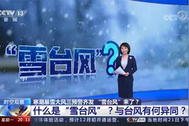 寒潮暴雪大风三预警齐发！什么是“雪台风”？与台风有何异同？视频封面