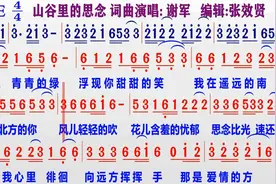 好听歌曲《山谷里的思念》的同步动态彩色简谱视频封面