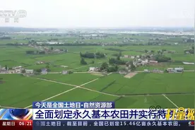 自然资源部：全面划定永久基本农田并实行特殊保护视频封面