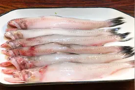 海边人教你：家常酱油水煮龙头鱼，鱼肉鲜美如豆腐，好吃又下饭视频封面