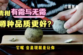 小青柑，有“霜”，无“霜”，哪种品质更好？看过这篇，全懂了！视频封面