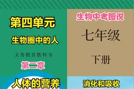 生物中考图说之七年级下册第四单元第二章第二节”消化和吸收“视频封面