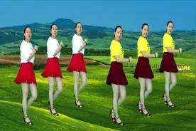 时尚步子舞《花蝴蝶》动感16步 歌好听舞更好看#客厅广场舞视频封面