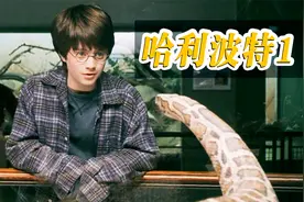 《哈利波特与魔法石》：这个男孩不一般，竟能跟蛇对话！视频封面