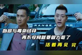 卧底与毒枭结拜，再不收网就要做大哥了，电视剧《活着再见》视频封面