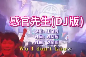 抖音热歌刘凤瑶《感官先生》DJ版，被旋律洗脑的节奏，太好听了视频封面