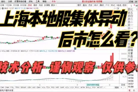 陆家嘴 浦东金桥 龙头股份 浦东建设等谁有望成上海自贸龙头股？视频封面