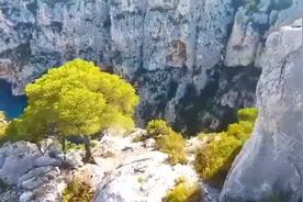 对敌人的仁慈，就是对人民的残忍。——毛泽东视频封面