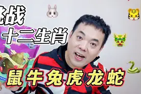 挑战一天只吃十二生肖 这些美食里面哪个是你的属相呢？视频封面