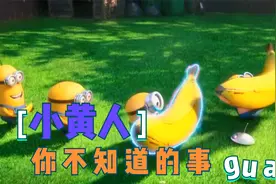 关于小黄人你知道多少？视频封面