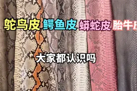 鸵鸟皮、鳄鱼皮、蟒蛇皮等名贵真皮都长什么样，来原皮市场认识下视频封面