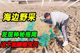 海边螃蟹离奇失踪，礁石外围发现神秘渔网，上前掀开有重大发现视频封面