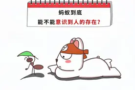 一脚踩下去没反应？蚂蚁是否感知到我们的存在？视频封面