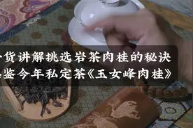 干货讲解挑选岩茶肉桂的秘诀，品鉴今年私定茶“玉女峰肉桂”视频封面