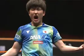 张本智和又赢了！3-0击败波尔晋级4强，他现在的反手实在太强了视频封面