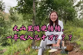 在山里随便转转，一年挣几十万？星星要发大财了。视频封面