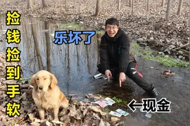 金毛在河边发现大量现金，小伙过去一看还有百元大钞，真是乐坏了视频封面