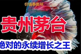 堪称变态级别，绝对的永续增长之王，消费龙头，林园的最爱视频封面