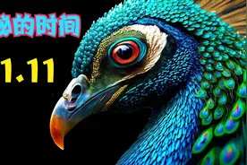 神秘的时间-11：11