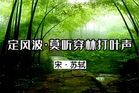 《定风波·莫听穿林打叶声》原文加译文视频封面